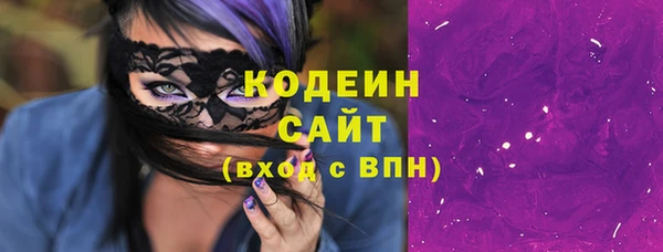 хмурый Алзамай