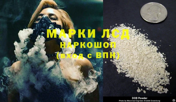 хмурый Алзамай