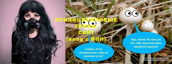 молекула духа Арсеньев
