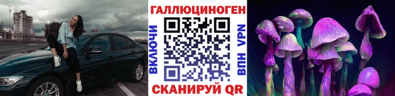 Псилоцибиновые грибы мухоморы Дудинка